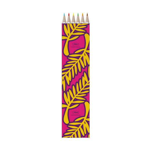 Set of 6 coloured pencils